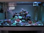 ER110 Plate reef